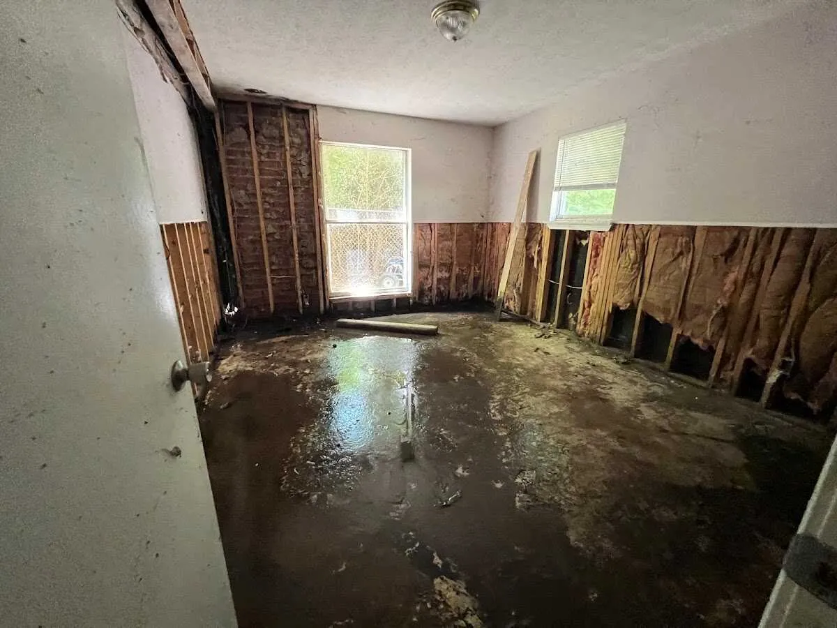 Water Damage Restoration services in Freehold, NJ